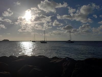 Du rhum et des femmes (?) nom de dieu…