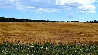 Promenade dans les vignobles ontariens…