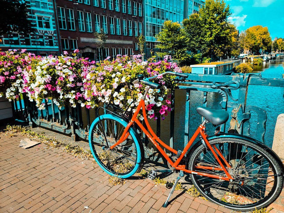 Amsterdam compte plus de 150 canaux et 1 250 ponts…