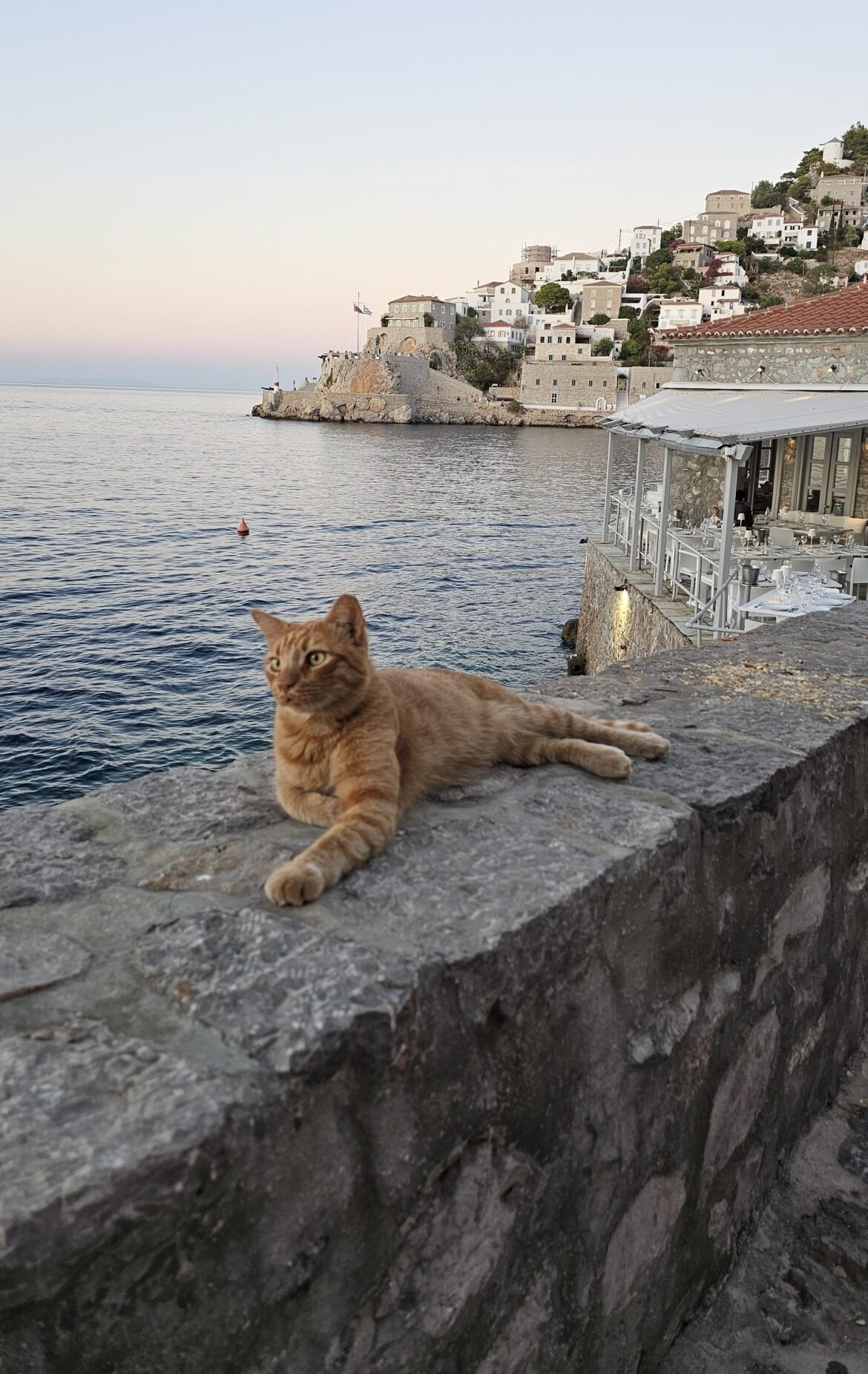 Hydra : une journée sans chars, juste des mules pis du soleil